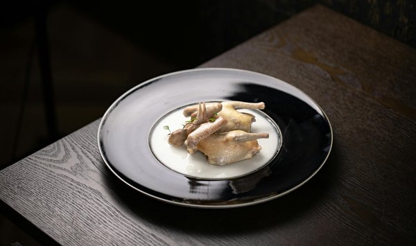 Wie können Haustiere unser tägliches Leben verändern?