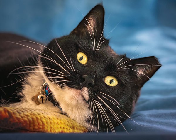 Wie kann man das Zuhause sicherer fÃ¼r Kinder gestalten?